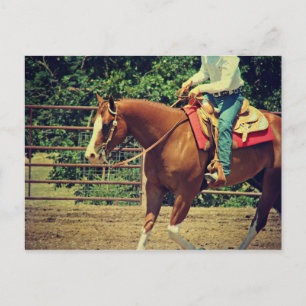 Westerne sorrel briefkaart