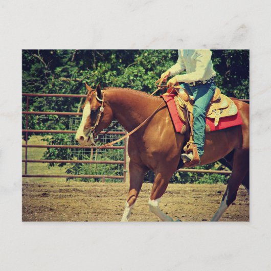 Westerne sorrel briefkaart (Voorkant)