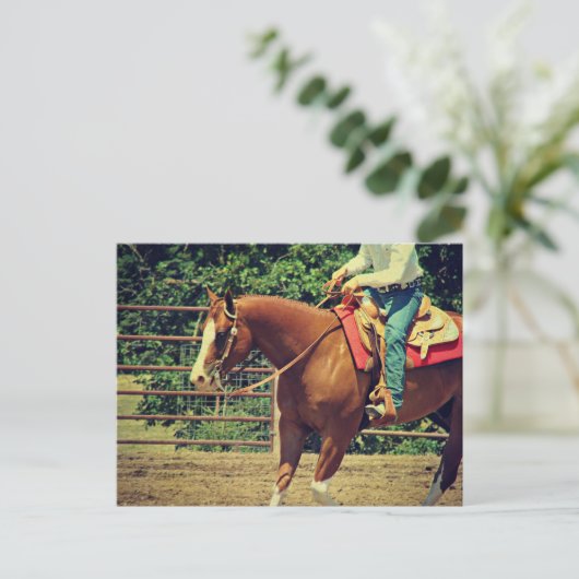 Westerne sorrel briefkaart (Staand voorkant)