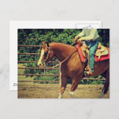 Westerne sorrel briefkaart (Voorkant / Achterkant)