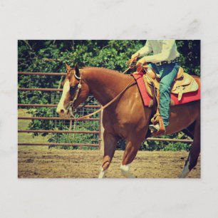 Westerne sorrel briefkaart