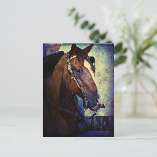 Westerne Sorrel Grunge Briefkaart (Staand voorkant)