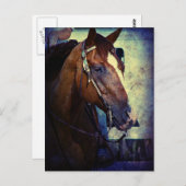 Westerne Sorrel Grunge Briefkaart (Voorkant / Achterkant)