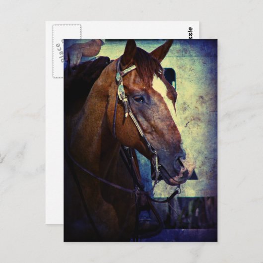 Westerne Sorrel Grunge Briefkaart (Voorkant / Achterkant)