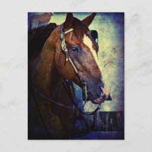 Westerne Sorrel Grunge Briefkaart