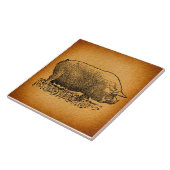  Westerne Stijl Antiek Illustratie van de Kunst va Tegeltje (Zijkant)