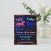 Westerne stijlpagina's met filtreer of kleur onthu kaart (Staand voorkant)