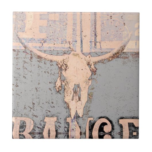  Westerne stip Tegeltje (Voorkant)