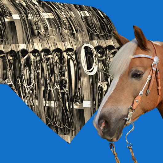 Westerne Tack Room Bridles Touw Print stropdas 2