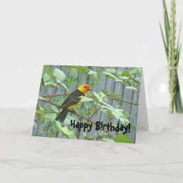 Westerne Tanager Bird Verjaardag Kaart