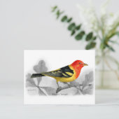 Westerne Tanager Briefkaart (Staand voorkant)