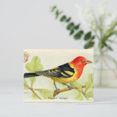Westerne Tanager Briefkaart (Staand voorkant)