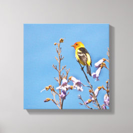 Westerne Tanager Canvas Afdruk