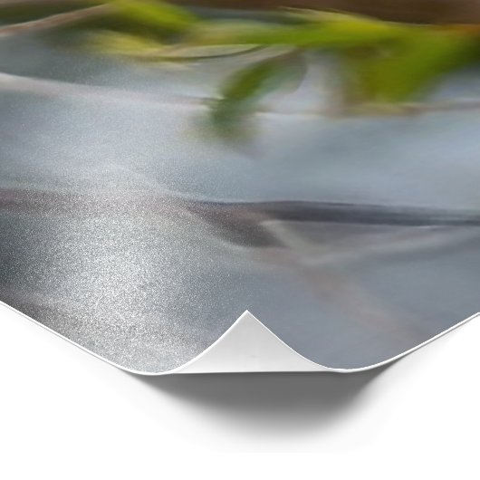 Westerne Tanager Foto Afdruk (Hoek)