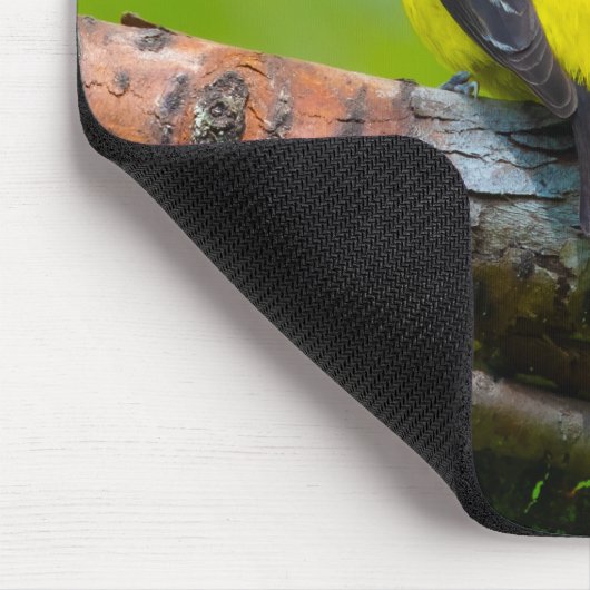 Westerne Tanager Muismat (Hoek)