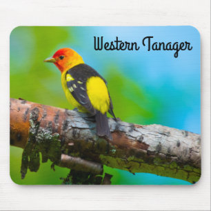 Westerne Tanager Muismat