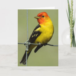 Westerne Tanager Notecard Kaart