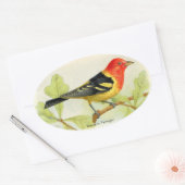 Westerne Tanager Ovale Sticker (Envelop)