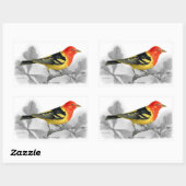 Westerne Tanager Rechthoekige Sticker (Vel)