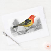 Westerne Tanager Rechthoekige Sticker (Envelop)