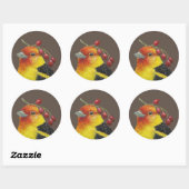 Westerne tanager stickers (Vel)