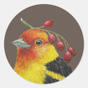 Westerne tanager stickers