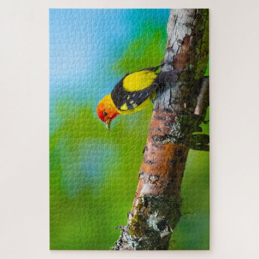 Westerne Tanager Super Challchallenge Bird Lover Legpuzzel (Verticaal)