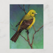 Westerne Tanager: Vogel in oliepastel Briefkaart (Voorkant)