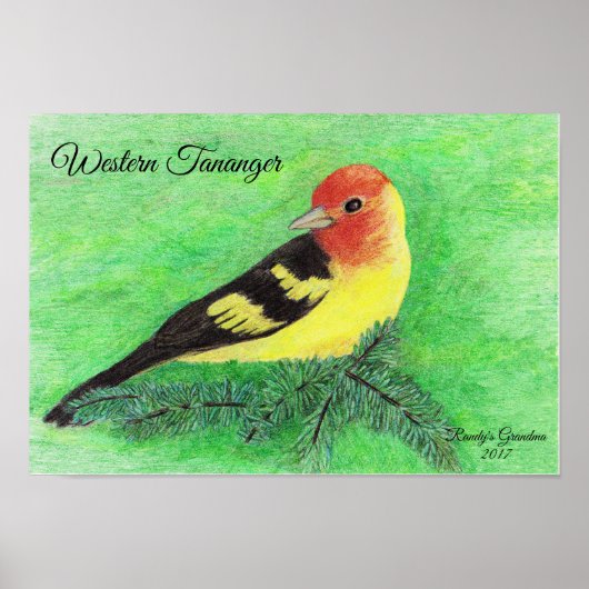 Westerne Tananger Bird Colour Pencil Art Poster (Voorkant)