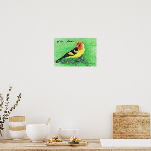Westerne Tananger Bird Colour Pencil Art Poster (Keuken)