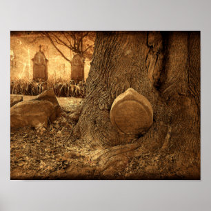 Westerne textuur van keramische tombstenen poster