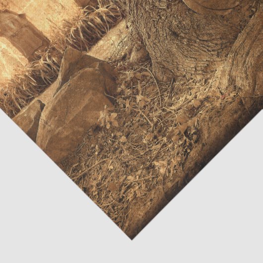 Westerne textuur van keramische tombstenen tissuepapier (Detail)