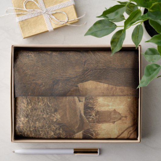 Westerne textuur van keramische tombstenen tissuepapier (Geschenk)