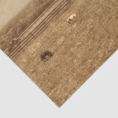 Westerne  textuur van paardenschaal tissuepapier (Detail)