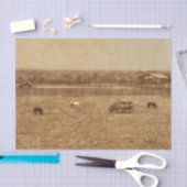 Westerne  textuur van paardenschaal tissuepapier (Craft)