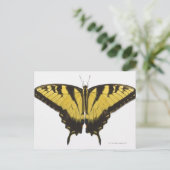 Westerne Tiger Swallowtail Butterfly Briefkaart (Staand voorkant)