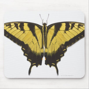 Westerne Tiger Swallowtail Butterfly Muismat