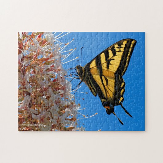 Westerne Tiger Swallowtail Butterfly op Buckeye Legpuzzel (Horizontaal)