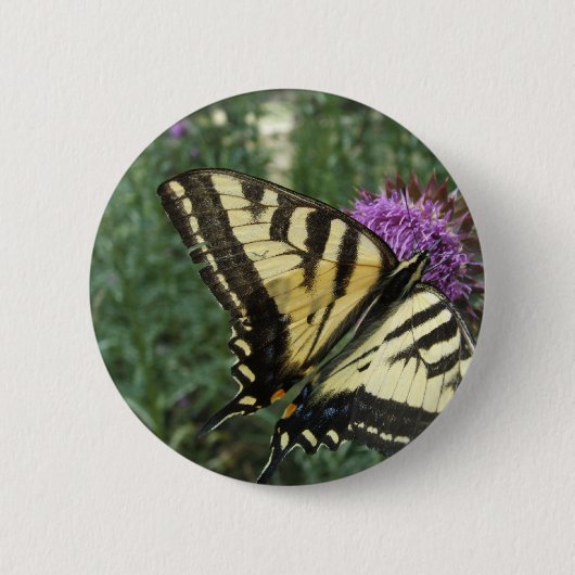 Westerne Tiger Swallowtail Butterfly Ronde Button 5,7 Cm (Voorkant)