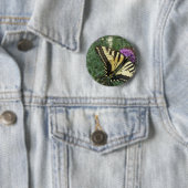 Westerne Tiger Swallowtail Butterfly Ronde Button 5,7 Cm (In situ)