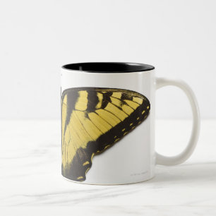 Westerne Tiger Swallowtail Butterfly Tweekleurige Koffiemok
