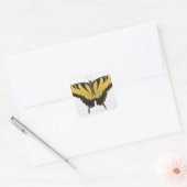 Westerne Tiger Swallowtail Butterfly Vierkante Sticker (Envelop)