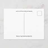 Westerne Tijger Swallowtail Butterfly Close-up Fot Briefkaart (Achterkant)