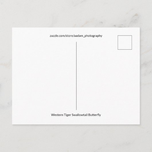 Westerne Tijger Swallowtail Butterfly Close-up Fot Briefkaart (Achterkant)