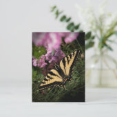 Westerne Tijger Swallowtail Butterfly Close-up Fot Briefkaart (Staand voorkant)