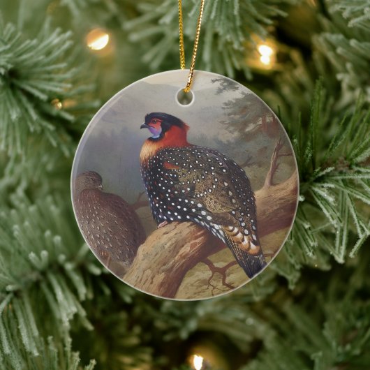 Westerne tragopan, vogelillustraties keramisch ornament (Boom)