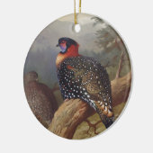 Westerne tragopan, vogelillustraties keramisch ornament (Links)