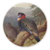 Westerne tragopan, vogelillustraties keramische knop (Voorkant)
