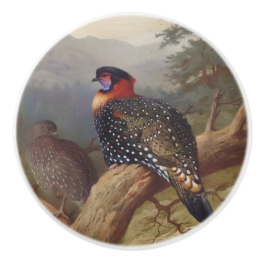 Westerne tragopan, vogelillustraties keramische knop (Voorkant)