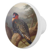 Westerne tragopan, vogelillustraties keramische knop (Rechts)